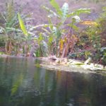 IMG_20220423_090625236