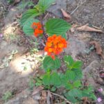 IMG_20220423_101552482
