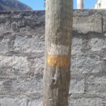 IMG_20220426_143425389